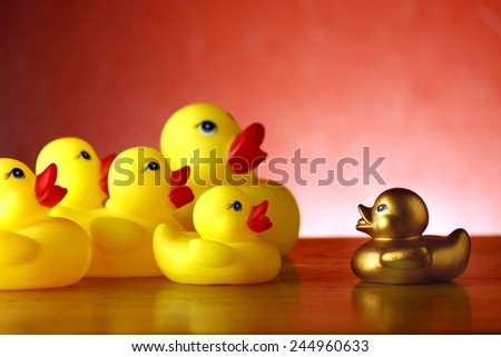 rubber duckies and a golden rubber duck