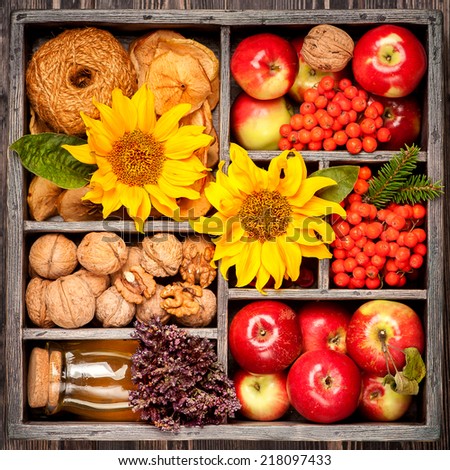 Autumn collage. Red apples, honey, nuts and sunflower in wooden box