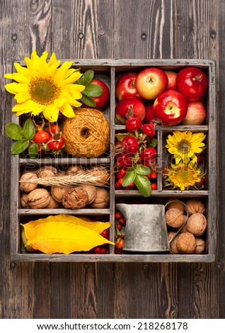 Autumn composition in vintage box.  Flowers sunflower, wild rose, walnuts and red apples.