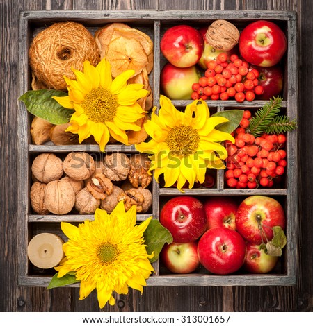 Autumn harvest. Composition in wooden box. Red apples, nuts, flowers, sunflowers, dried apples