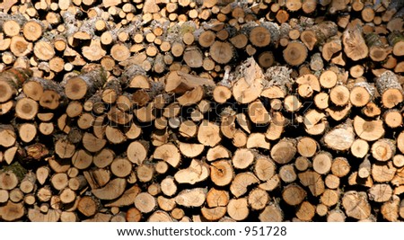 Log pile #2
