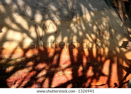 Tree shadow abstract #2