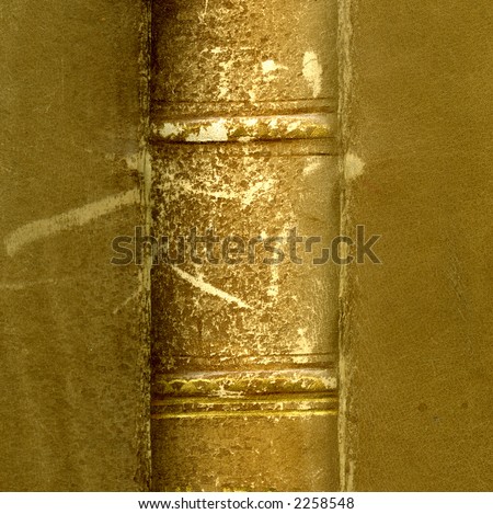 Spine of a leather bound book
