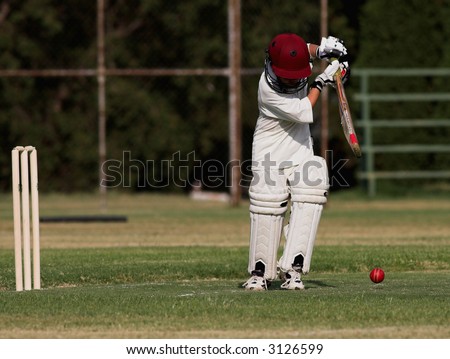 Cricket Backfoot defense block shot. Wickets, cricket ball and green grass