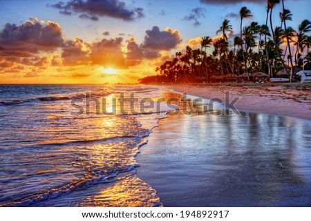 Brilliant ocean beach sunrise with palm trees