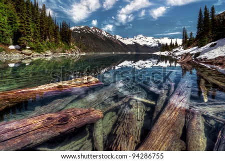 Sunken logs in crystal clear mountain lake