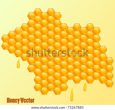 Vector Honey Background - 73267885 : Shutterstock