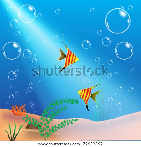 plants underwater