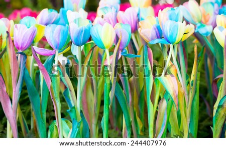 tulip. Beautiful bouquet of tulips. colorful tulips. tulips in spring,colourful tulip