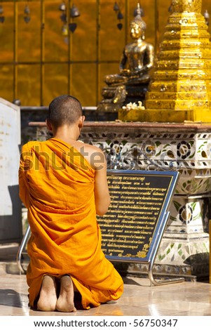 Buddhist  monk  praying (Thailand)