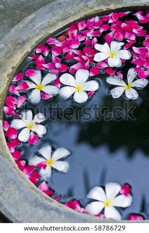 Image of spa therapy, flowers in water