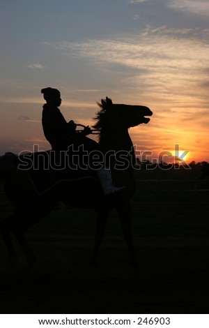 Sunset horse rider