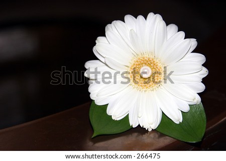 Flower for wedding