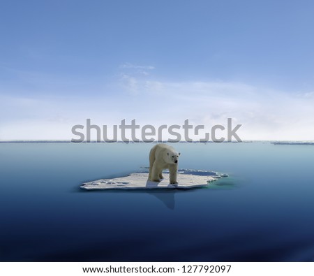 Polar bear on an ice floe in antarctica