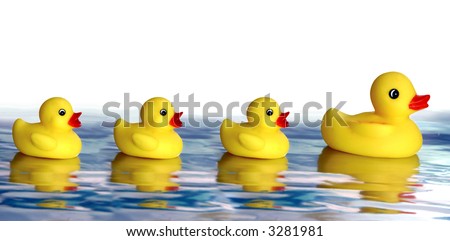 Rubber ducky family
