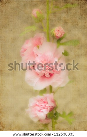 Roses in sunshine. Textured photo