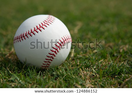 New baseball in the Outfield Grass with room for copy