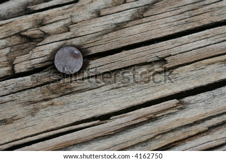 Nail in Textured Wood
