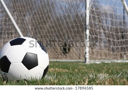 Soccer ball and net