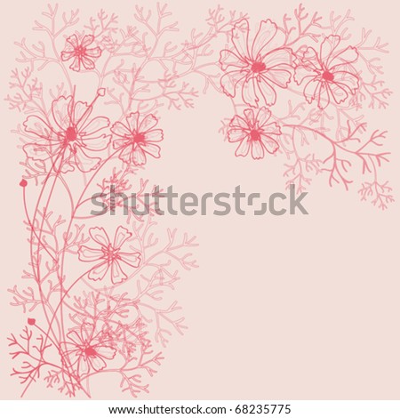 outlines of flowers. outlines of flowers. stock