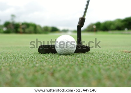 Golf  putting on green