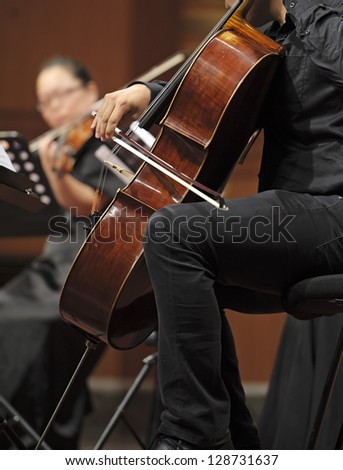 violoncellist perform on wind music chamber music concert