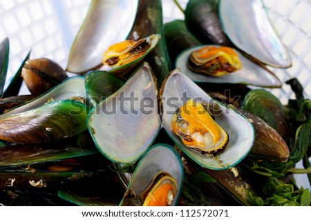 Asian green mussel