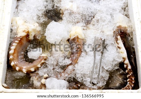 Frozen octopus with ice in foam package, Seafood ingredient