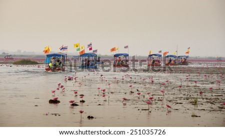 UDONTHANI, THAILAND - JANUARY 31 : Tourist boat travel for see pink lotus lake on January 31, 2015 in Nong Han Udonthani, Thailand