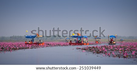 UDONTHANI, THAILAND - JANUARY 31 : Tourist boat travel for see pink lotus lake on January 31, 2015 in Nong Han, Udonthani, Thailand