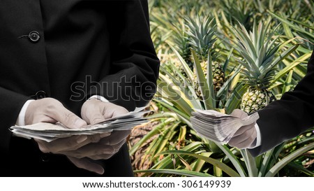 Agricultural product prices concept, Businessman buying pineapple product