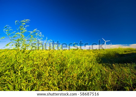 Grasslands in western China and wind power