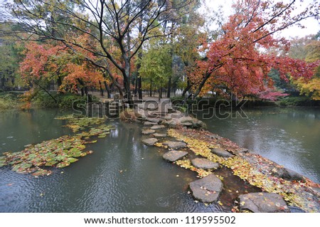 Red leaves with yellow leaves and autumn landscape