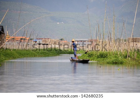 INLAY LAKE,MYANMAR - JUNE 4: For inle lake water boatman on tomato garden work on june 4,2013 in myanmar.