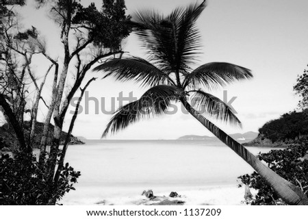 black and white beach photos. stock photo : Black and White