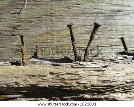 rusty nails in wood