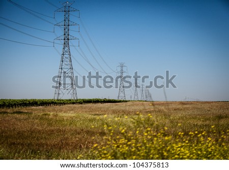Power Lines in an Open Field Along The Five Freeway with Yellow Flowers in The Foreground
