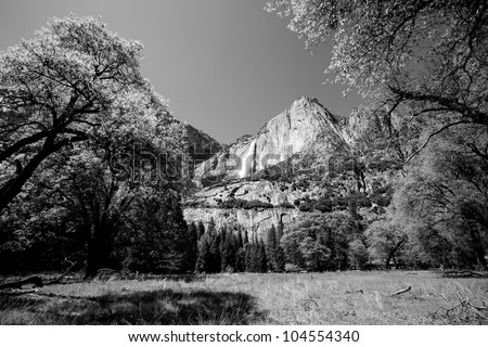 Black and White of open Field with Trees on each side with Large Mountains and Yosemite Falls in the Background