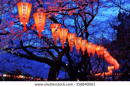 Tokyo, Japan - March 27, 2004: Beautiful light and colours of Japanese lanterns and cherry blossoms in Cherry-Blossom Viewing (O-Hanami) Festival at Ueno park, Tokyo, Japan on March 27, 2004.