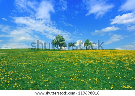 Green meadow with blooming spring flowers under beautiful sky, Lower Austria