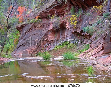 Fall colors in West Fork of Oak Creek, Arizona