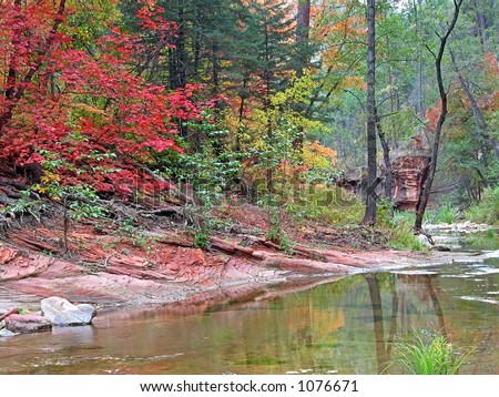 Fall colors in West Fork of Oak Creek, Arizona