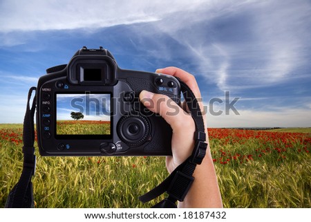 hand holding digital photo camera and taking landscape photography