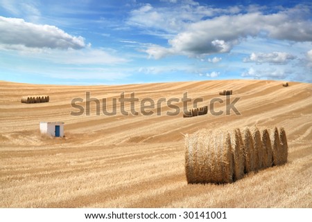 rural field after season crop - landscape orientation
