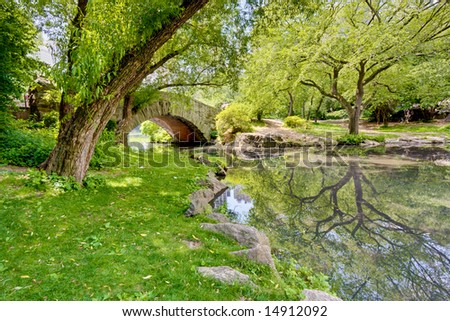 A stone bridge in Central Park, NY. There is a large tree and reflection in the pond that runs under the bridge.
