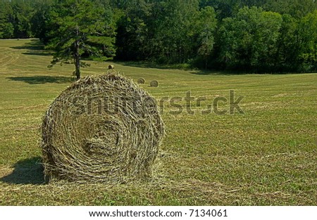 Bale Of Grass