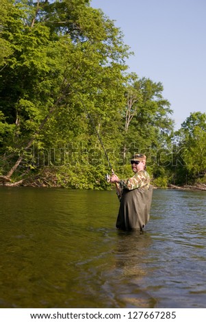 Fisherman pulls caught salmon. River.