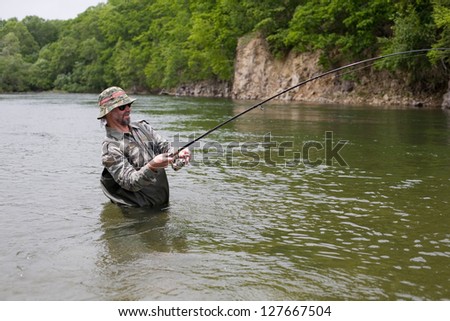 Fisherman pulls caught salmon from the river.