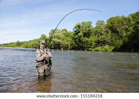 Joyful fisherman pulls caught salmon from the river.