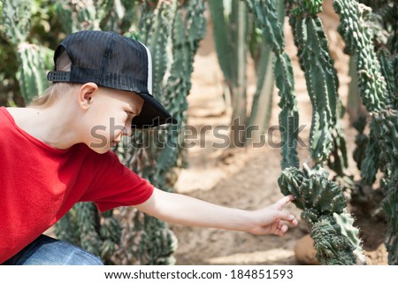 The boy reaches out to the cactus.